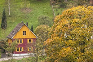 Images Dated 23rd October 2014: Germany, Baden-Wurttemburg, Black Forest, Unterdorf, elevated view of farmhouse, fall