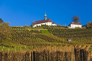 Images Dated 24th October 2014: Germany, Baden-Wurttemburg, Black Forest, Gengenbach, vineyards and hilltop chapel, fall