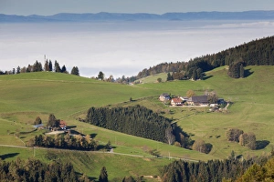 Images Dated 27th October 2014: Germany, Baden-Wurttemburg, Black Forest, Horben, town view in morning fog, autumn