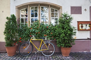 Images Dated 26th October 2014: Germany, Baden-Wurttemburg, Black Forest, Freiburg-im-Breisgau, Altstadt, Old Town
