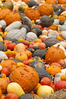 Images Dated 20th October 2014: Germany, Baden-Wurttemburg, Ludwigsburg, Bluhendes Barock Gardens, fall festival