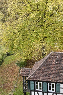 Images Dated 21st October 2014: Germany, Baden-Wurttemburg, Tubingen, elevated town view in the fall