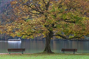 Germany, Bavaria, Konigsee, St. Bartholoma, fall foliage