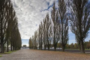 Images Dated 16th October 2014: Germany, Bavaria, Munich-Dachau, WW-2 era Nazi concentration camp, grounds, once