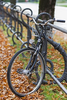 Deutschland Prints: Germany, Bavaria, Munich, Hofgarten park, fall, bicycle