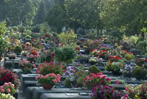 Grave Prints: Germany, Bavaria, Nuremberg. Historic medieval cemetery famous for its thousands of roses
