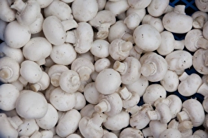 Images Dated 18th September 2009: Germany, Bavaria, Passau. Open-air farmers market, mushrooms