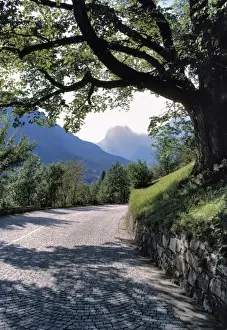 Curving Prints: Germany, Bavaria, Ramsau. Areas of the Deutscher Alpenstrasse are still paved with