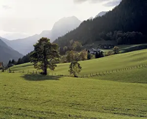 Base Prints: Germany, Bavaria, Ramsau. A cluster of farm houses nestle at the base of a hill near Ramsau