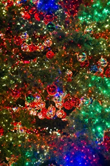 East Germany Prints: Germany, Berlin, Mitte, Potsdamer Platz, Christmas Tree detail, evening