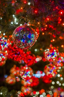 Images Dated 25th December 2013: Germany, Berlin, Mitte, Potsdamer Platz, Christmas Tree detail, evening