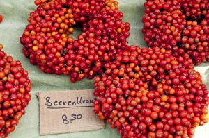 Text Prints: Germany, Brvaria, Passau. Open-air farmers market