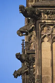 Cologne Prints: Germany, Cologne (Koln), gargoyles on the exterior of the Cologne Cathedral (Kolner Dom)