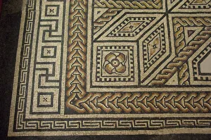 Germany, Cologne. Roman Germanic Museum. Dionysos Mosaic, 2nd century masterpiece