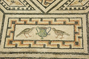 Images Dated 25th September 2009: Germany, Cologne. Roman Germanic Museum. Dionysos Mosaic, 2nd century masterpiece