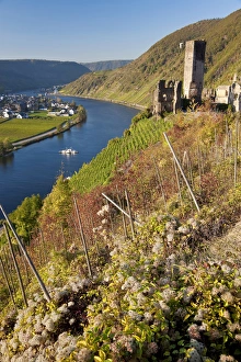 Images Dated 12th October 2010: Germany, Deutschland; Rhineland-Palatinate, Rheinland-Pfalz, Metternich Castle ruins