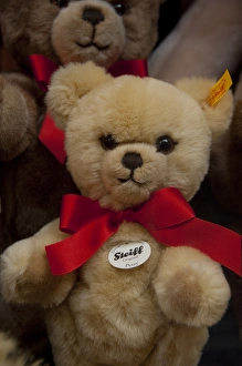 Images Dated 22nd September 2009: Germany, Franconia, Rothenburg. Typical German souvenirs, famous Steiff teddy bears