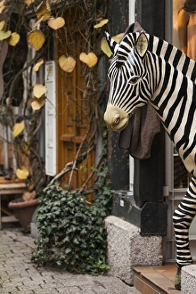Germany, Hesse, Limburg an der Lahn, zebra statue