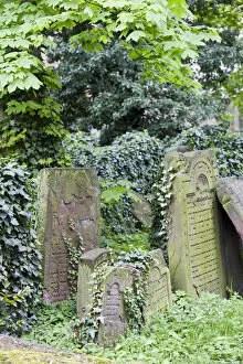 Images Dated 30th April 2008: GERMANY, Hessen, Frankfurt am Main. Frankfurt Jewish cemetery, Old Jewish cemetery