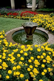 Industrial Prints: Germany Koblenz Old Town by Rhine River St Kastor Church flower gardens