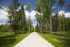 Walk Way Prints: Germany, Niedersachsen. Bergen-Belsen WW2 concentration camp memorial, site of destroyed