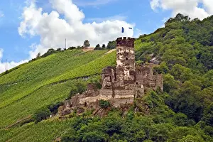Riverside Prints: Germany, Rheindiebach, Rhine, Rhineland-Palatinate, Furstenberg castle ruins above