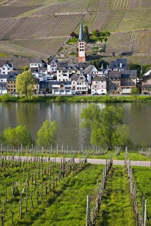 Images Dated 3rd May 2008: GERMANY, Rheinland-Pfaltz, Mosel River Valley, Zell am Mosel. Town view