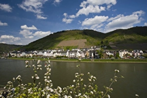Images Dated 3rd May 2008: Germany, Rheinland-Pfaltz, Mosel River Valley, Cochem. Spring along the Mosel River