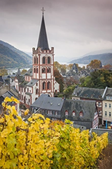 Images Dated 7th November 2014: Germany, Rheinland-Pfalz, Bacharach, elevated town view, autumn