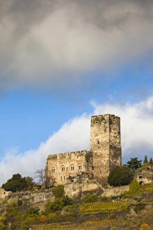 Rhein River Prints: Germany, Rheinland-Pfalz, Kaub, Burg Gutenfels Castle, autumn