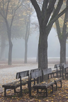 Germany, Rheinland-Pfalz, Speyer, Domgarten, cathedral park, fog, morning