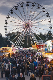 Images Dated 2nd November 2014: Germany, Rheinland-Pfalz, Speyer, autumn carnival with ferris wheel, dusk