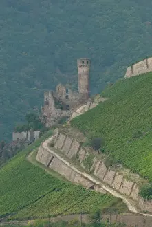 Germany, Rhine River. View between Mainz & Koblenz near Rudesheim. Castle ruins surrounded