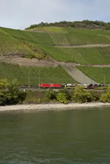 Images Dated 24th September 2009: Germany, Rhine River. View along the Rhine River near Boppard (mile marker 570)