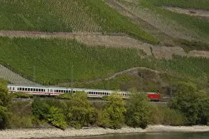 Images Dated 24th September 2009: Germany, Rhine River. View along the Rhine River near Boppard (mile marker 570)