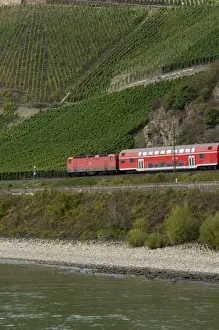 Images Dated 24th September 2009: Germany, Rhine River. View along the Rhine River near Boppard (mile marker 570)