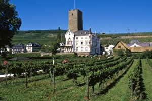 Germany, Rudesheim, Rhine Gorge, Boosenburg Castle, UNESCO World Heritage Site