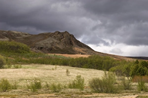 Images Dated 1st June 2007: Geysir, Iceland