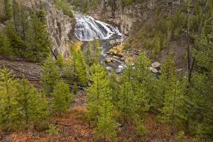 Elevated View Prints: Gibbon Falls, Yellowstone National Park, Wyoming