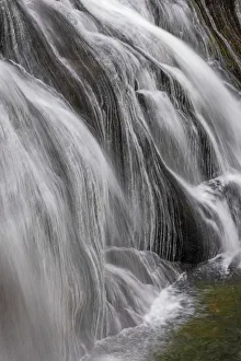Gibbon Falls, Yellowstone National Park, Wyoming