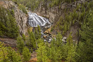 Elevated View Prints: Gibbon Falls, Yellowstone National Park, Wyoming