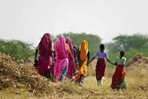 Girls wearing colorful sari, Pushkar, Rajasthan, India