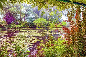 Weeping Willow Prints: Giverny, France. Landscape view of Claude Monet's famous Japanese water garden