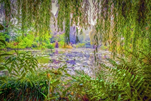 Weeping Willow Prints: Giverny, France. Landscape view of Claude Monet's famous Japanese water garden