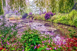 Weeping Willow Prints: Giverny, France. Landscape view of Claude Monet's Japanese water gardens in the village of Giverny