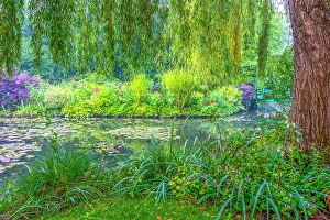 Weeping Willow Prints: Giverny, France. Landscape view of Claude Monet's Japanese water gardens in the village of Giverny