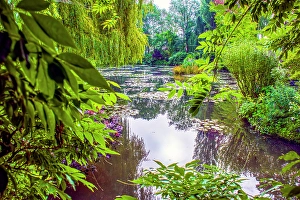 Weeping Willow Prints: Giverny, France. Wide angle landscape view of Claude Monet's Japanese water gardens in the village of Giverny