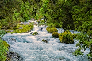 Rona Schwarz Prints: Glacial Stream: Milford Sound, New Zeland