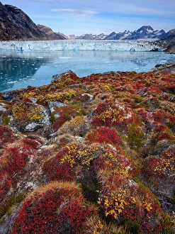 Lonely Prints: Glacier (also called Apuseeq Glacier) Sermiligaaq Fjord