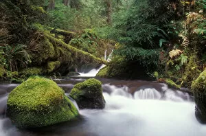 Images Dated 6th April 2005: Glacier Creek, Gifford Pinchot National Forest